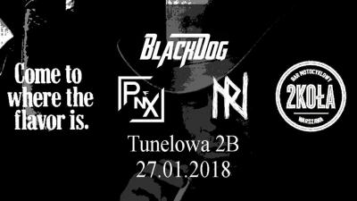 Black Dog/PnX/noise response w 2Kołach