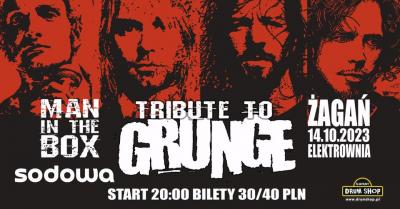 Tribute to Grunge